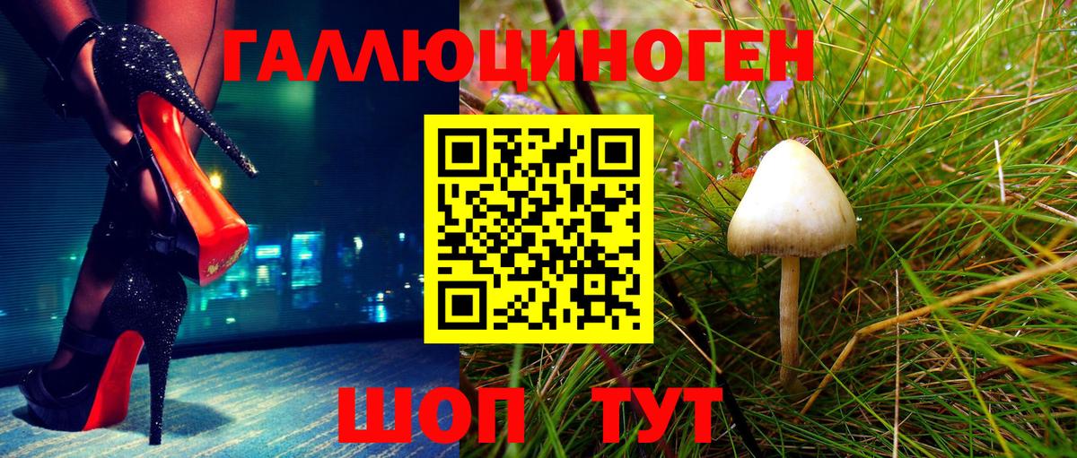 Галлюциногенные грибы GOLDEN TEACHER Апатиты